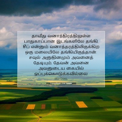 Picture 07 - 1 சாமுவேல் 23:14 TAMIRV - தாவீது - Bible Verse Picture