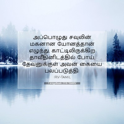 Picture 07 - 1 சாமுவேல் 23:16 TAMIRV - அப்பொழுது சவுலின் - Bible Verse Picture