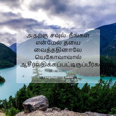 Picture 07 - 1 சாமுவேல் 23:21 TAMIRV - அதற்கு சவுல்: - Bible Verse Picture