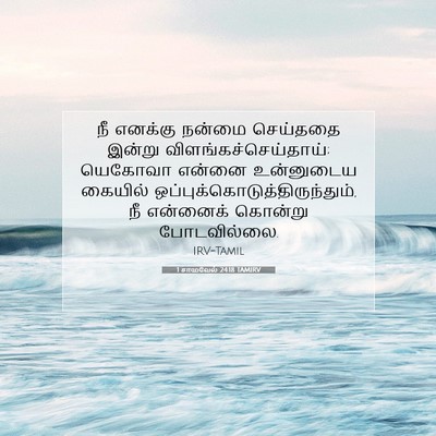 Picture 07 - 1 சாமுவேல் 24:18 TAMIRV - நீ எனக்கு நன்மை - Bible Verse Picture