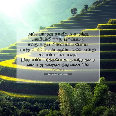 Picture 07 - 1 சாமுவேல் 24:8 TAMIRV - அப்பொழுது - Bible Verse Picture