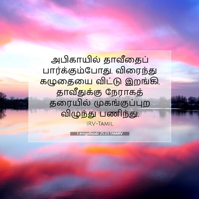 Picture 07 - 1 சாமுவேல் 25:23 TAMIRV - அபிகாயில் - Bible Verse Picture