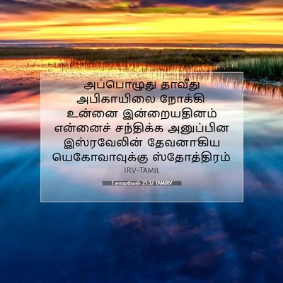 Picture 07 - 1 சாமுவேல் 25:32 TAMIRV - அப்பொழுது தாவீது - Bible Verse Picture