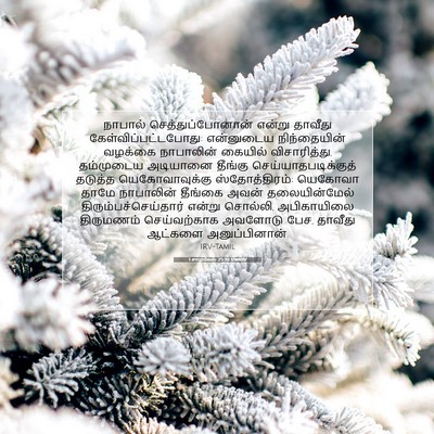 Picture 07 - 1 சாமுவேல் 25:39 TAMIRV - நாபால் - Bible Verse Picture