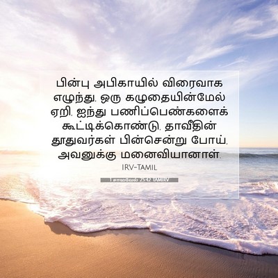 Picture 07 - 1 சாமுவேல் 25:42 TAMIRV - பின்பு அபிகாயில் - Bible Verse Picture