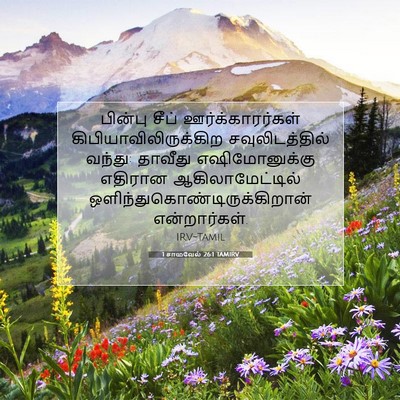Picture 07 - 1 சாமுவேல் 26:1 TAMIRV - பின்பு சீப் - Bible Verse Picture