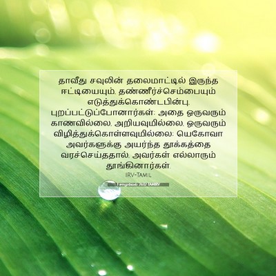 Picture 07 - 1 சாமுவேல் 26:12 TAMIRV - தாவீது சவுலின் - Bible Verse Picture