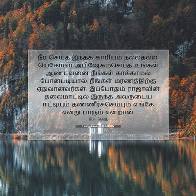 Picture 07 - 1 சாமுவேல் 26:16 TAMIRV - நீர் செய்த இந்தக் - Bible Verse Picture