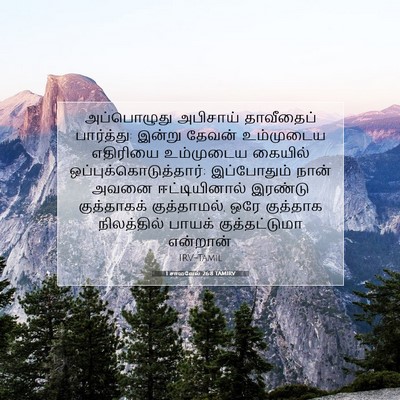 Picture 07 - 1 சாமுவேல் 26:8 TAMIRV - அப்பொழுது அபிசாய் - Bible Verse Picture
