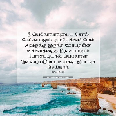 Picture 07 - 1 சாமுவேல் 28:18 TAMIRV - நீ யெகோவாவுடைய - Bible Verse Picture