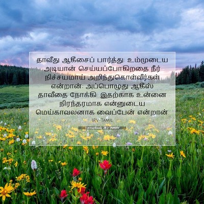 Picture 07 - 1 சாமுவேல் 28:2 TAMIRV - தாவீது ஆகீசைப் - Bible Verse Picture