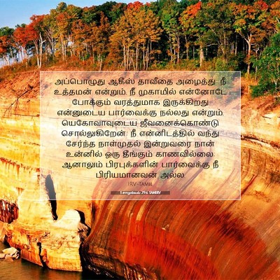 Picture 07 - 1 சாமுவேல் 29:6 TAMIRV - அப்பொழுது ஆகீஸ் - Bible Verse Picture