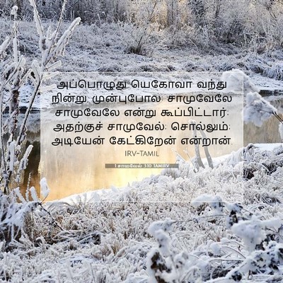 Picture 07 - 1 சாமுவேல் 3:10 TAMIRV - அப்பொழுது யெகோவா - Bible Verse Picture