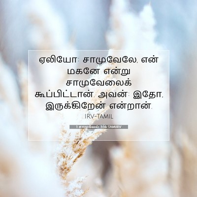 Picture 07 - 1 சாமுவேல் 3:16 TAMIRV - ஏலியோ: சாமுவேலே, - Bible Verse Picture