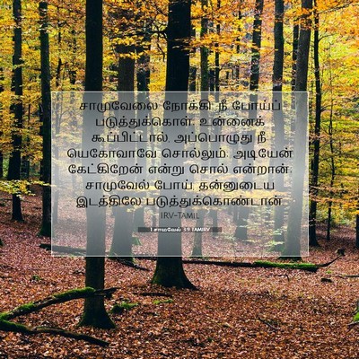 Picture 07 - 1 சாமுவேல் 3:9 TAMIRV - சாமுவேலை நோக்கி: - Bible Verse Picture