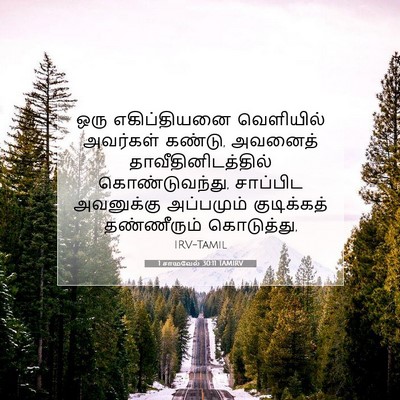 Picture 07 - 1 சாமுவேல் 30:11 TAMIRV - ஒரு எகிப்தியனை - Bible Verse Picture