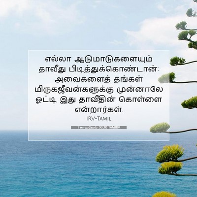 Picture 07 - 1 சாமுவேல் 30:20 TAMIRV - எல்லா - Bible Verse Picture