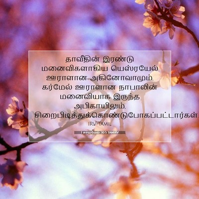 Picture 07 - 1 சாமுவேல் 30:5 TAMIRV - தாவீதின் இரண்டு - Bible Verse Picture