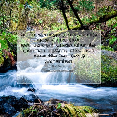 Picture 07 - 1 சாமுவேல் 31:1 TAMIRV - பெலிஸ்தர்கள் - Bible Verse Picture