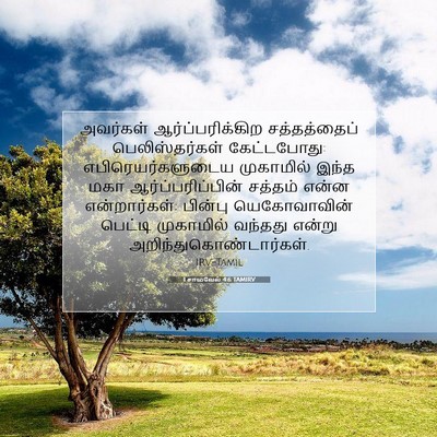 Picture 07 - 1 சாமுவேல் 4:6 TAMIRV - அவர்கள் - Bible Verse Picture