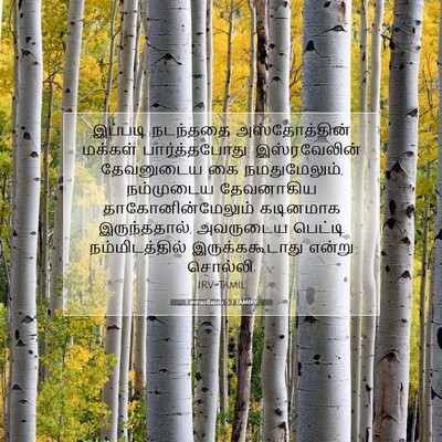 Picture 07 - 1 சாமுவேல் 5:7 TAMIRV - இப்படி நடந்ததை - Bible Verse Picture