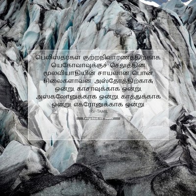 Picture 07 - 1 சாமுவேல் 6:17 TAMIRV - பெலிஸ்தர்கள் - Bible Verse Picture