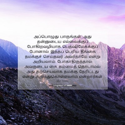 Picture 07 - 1 சாமுவேல் 6:9 TAMIRV - அப்பொழுது - Bible Verse Picture