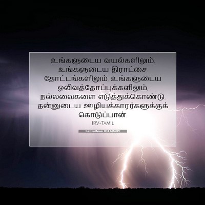 Picture 07 - 1 சாமுவேல் 8:14 TAMIRV - உங்களுடைய - Bible Verse Picture