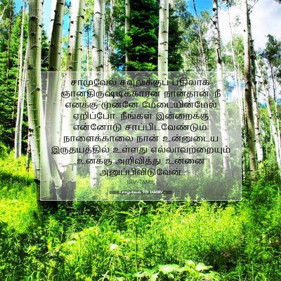 Picture 07 - 1 சாமுவேல் 9:19 TAMIRV - சாமுவேல் - Bible Verse Picture