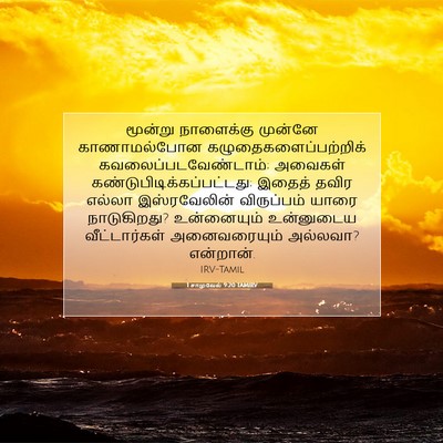 Picture 07 - 1 சாமுவேல் 9:20 TAMIRV - மூன்று நாளைக்கு - Bible Verse Picture
