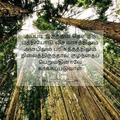 Picture 07 - 1 தீமோத்தேயு 2:15 TAMIRV - அப்படி இருந்தும், - Bible Verse Picture