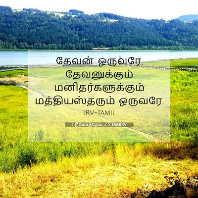 Picture 07 - 1 தீமோத்தேயு 2:5 TAMIRV - தேவன் ஒருவரே, - Bible Verse Picture