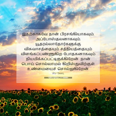 Picture 07 - 1 தீமோத்தேயு 2:7 TAMIRV - இதற்காகவே நான் - Bible Verse Picture