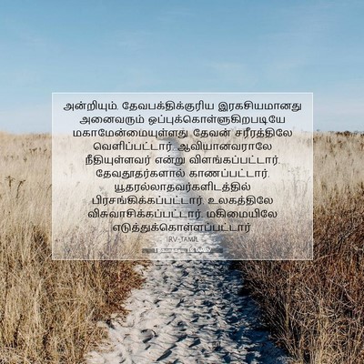 Picture 07 - 1 தீமோத்தேயு 3:16 TAMIRV - அன்றியும், - Bible Verse Picture
