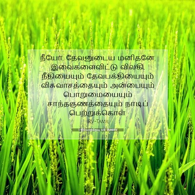 Picture 07 - 1 தீமோத்தேயு 6:11 TAMIRV - நீயோ, தேவனுடைய - Bible Verse Picture