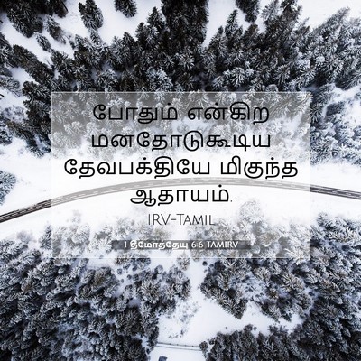 Picture 07 - 1 தீமோத்தேயு 6:6 TAMIRV - போதும் என்கிற - Bible Verse Picture