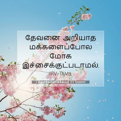 Picture 07 - 1 தெசலோனிக்கேயர் 4:4 TAMIRV - தேவனை அறியாத - Bible Verse Picture