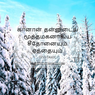 Picture 07 - 1 நாளாகமம் 1:13 TAMIRV - கானான் தன்னுடைய - Bible Verse Picture