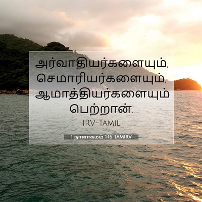 Picture 07 - 1 நாளாகமம் 1:16 TAMIRV -  - Bible Verse Picture