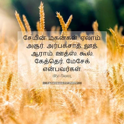 Picture 07 - 1 நாளாகமம் 1:17 TAMIRV - சேமின் மகன்கள், - Bible Verse Picture