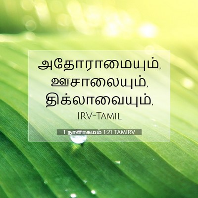Picture 07 - 1 நாளாகமம் 1:21 TAMIRV - அதோராமையும், - Bible Verse Picture