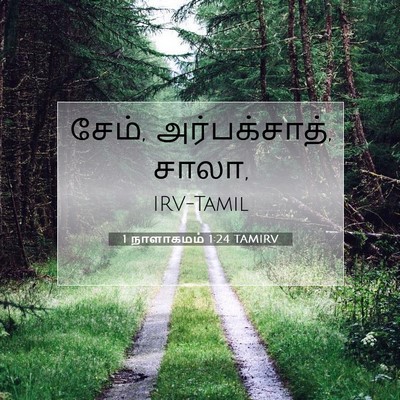 Picture 07 - 1 நாளாகமம் 1:24 TAMIRV - சேம், அர்பக்சாத், - Bible Verse Picture