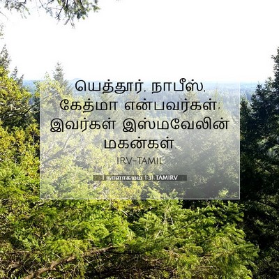 Picture 07 - 1 நாளாகமம் 1:31 TAMIRV - யெத்தூர், நாபீஸ், - Bible Verse Picture