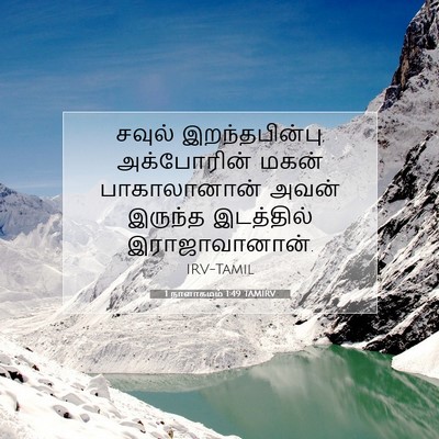 Picture 07 - 1 நாளாகமம் 1:49 TAMIRV - சவுல் - Bible Verse Picture