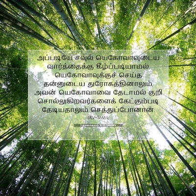 Picture 07 - 1 நாளாகமம் 10:13 TAMIRV - அப்படியே சவுல் - Bible Verse Picture