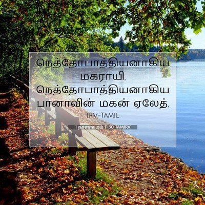 Picture 07 - 1 நாளாகமம் 11:30 TAMIRV -  - Bible Verse Picture