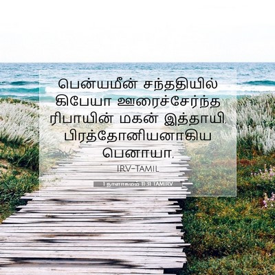Picture 07 - 1 நாளாகமம் 11:31 TAMIRV - பென்யமீன் - Bible Verse Picture