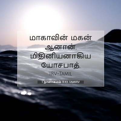 Picture 07 - 1 நாளாகமம் 11:43 TAMIRV - மாகாவின் மகன் - Bible Verse Picture