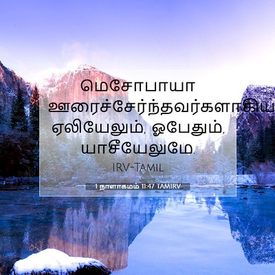 Picture 07 - 1 நாளாகமம் 11:47 TAMIRV - மெசோபாயா - Bible Verse Picture