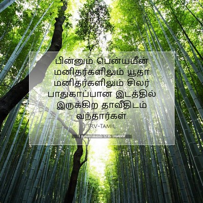 Picture 07 - 1 நாளாகமம் 12:16 TAMIRV - பின்னும் - Bible Verse Picture